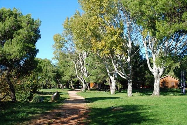 Bungalow Leo سافودغيا المظهر الخارجي الصورة