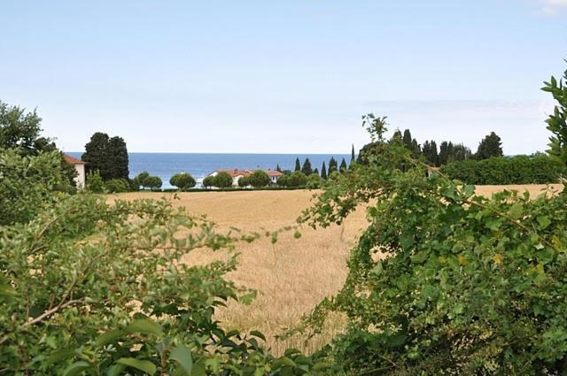 Bungalow Leo سافودغيا المظهر الخارجي الصورة